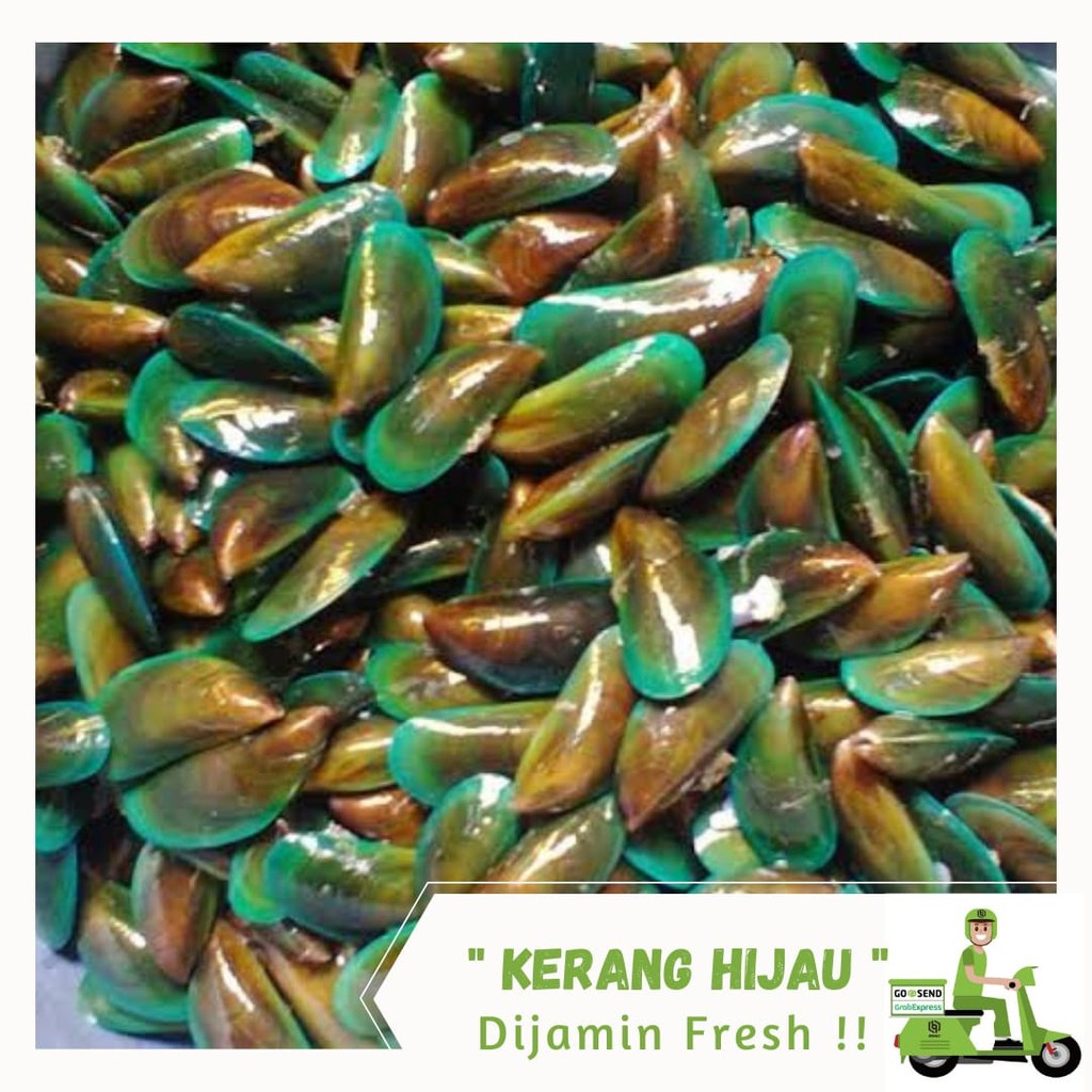 

Kerang Hijau