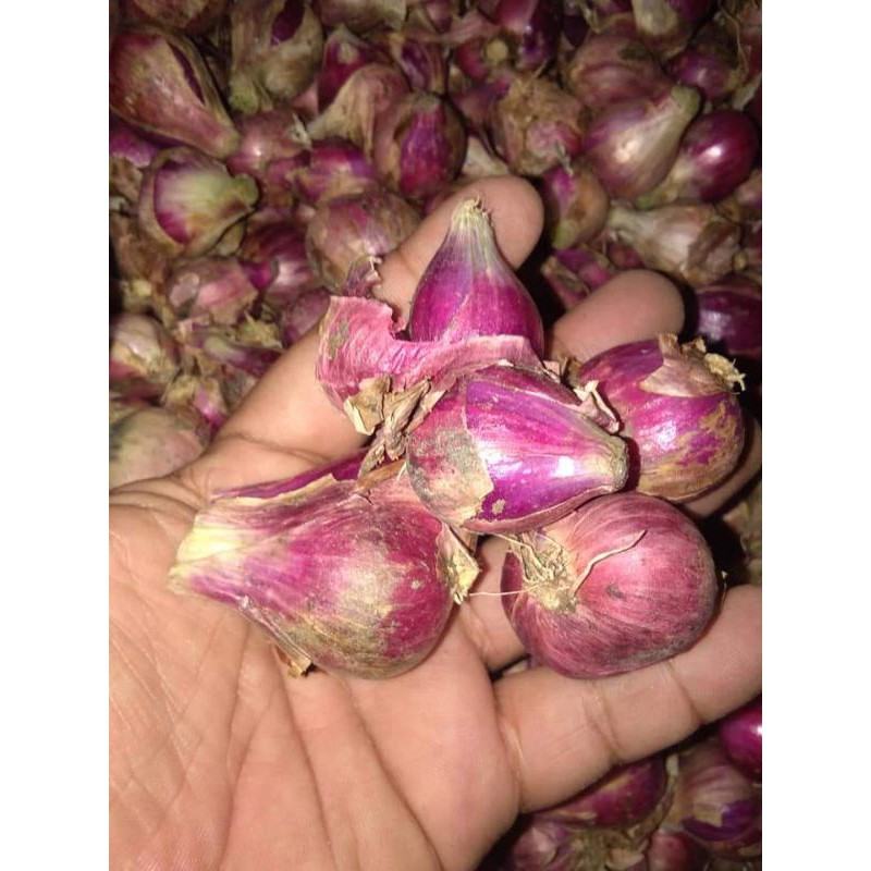 

BAWANG BREBES SUPER