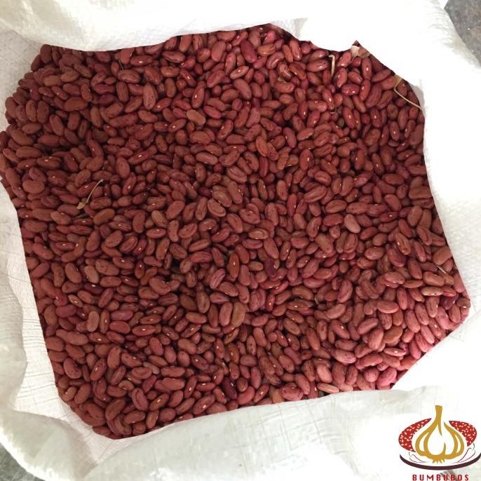 

Kacang Merah Jogo 1 Sak Karung Ball 25 kg Reguler - Belum Sortir ---Terbaru---