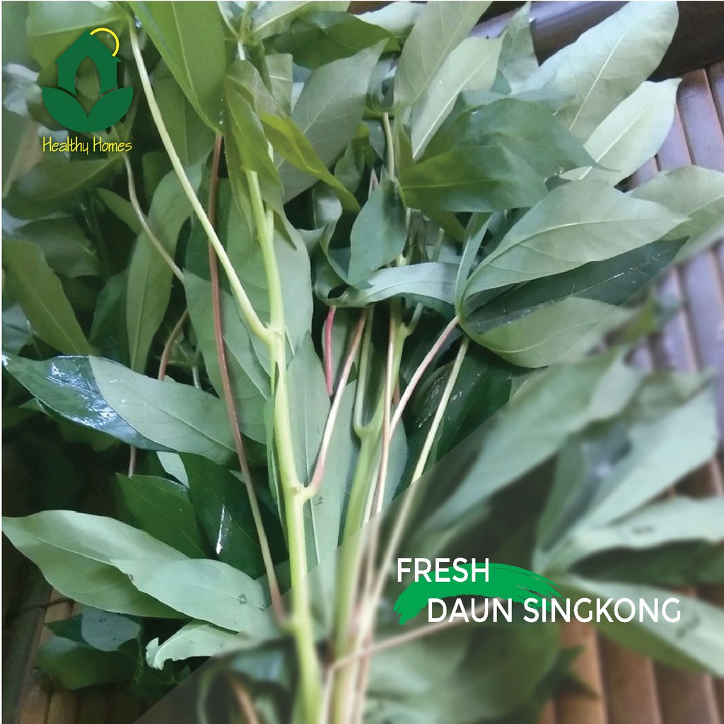 

Sayur Daun Singkong 250gram tangerang dan Jakarta