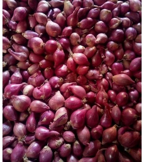 

ㅆ Bawang Merah Kering Tanggung Campur Kecil ⍈
