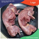 

Daging Marmut Karkas tanpa kepala 1kg Fresh Frozen