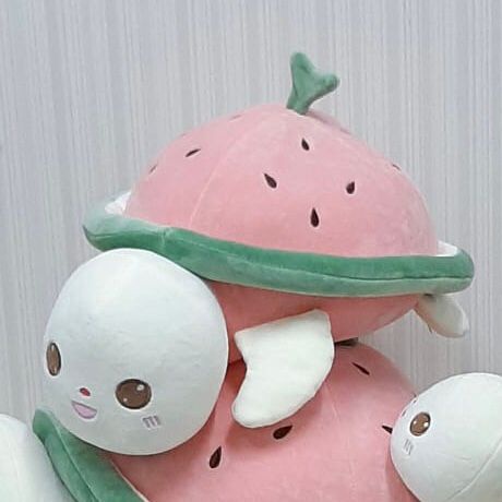 Boneka Kura-Kura Semangka Buah Turtle Animal
