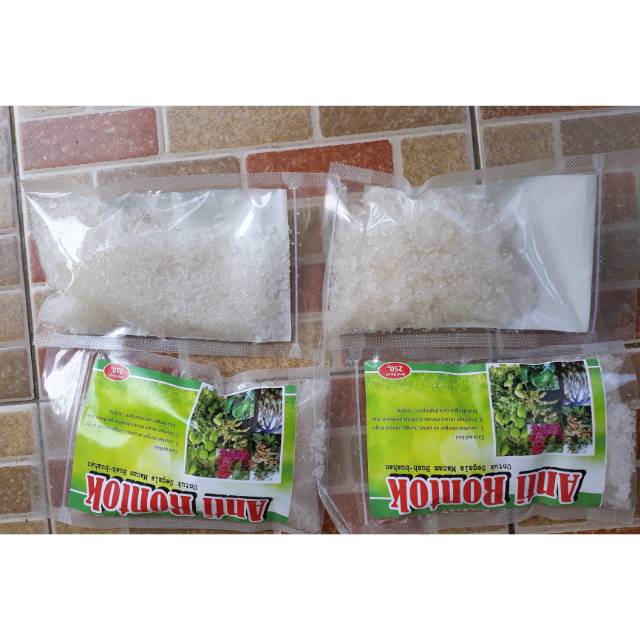 Anti Rontok Untuk Solusi Bunga Bakal Buah tidak rontok