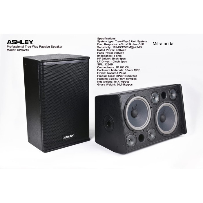 Speaker Pasif Ashley DIVA210