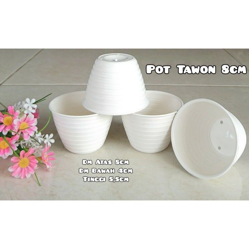 Pot Tawon 8cm Pot Tanaman Hias Pot Putih Plastik Pot Plastik Pot Bunga Plastik