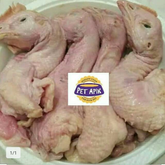 

Kepala ayam
