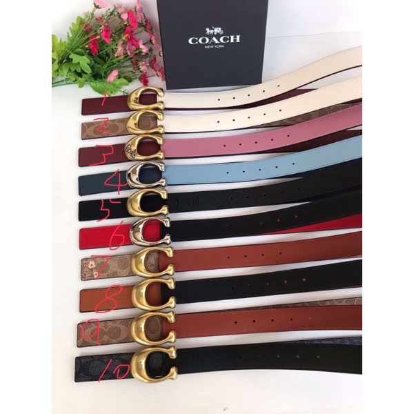 belt coach original ikat pinggang wanita asli sabuk
