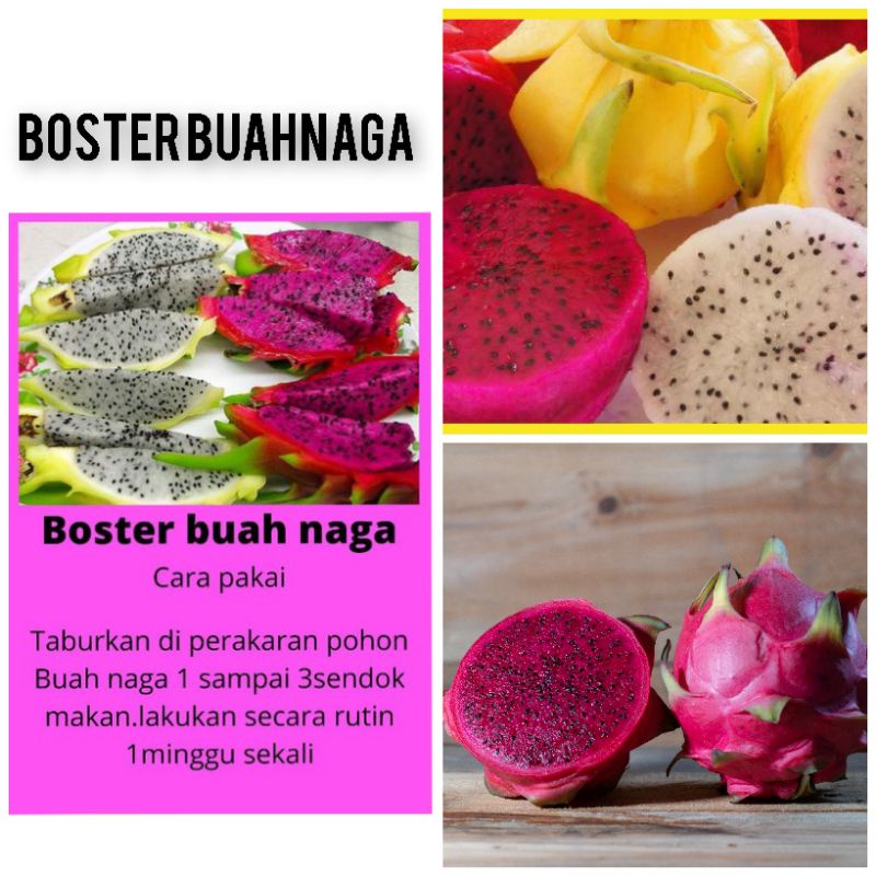 PUPUK BUAH NAGA PUPUK BUAH PUPUK TANAMAN HIAS PUPUK SAYURAN PUPUK MEDIA TANAM BOSTER TERLENGKAP BOST