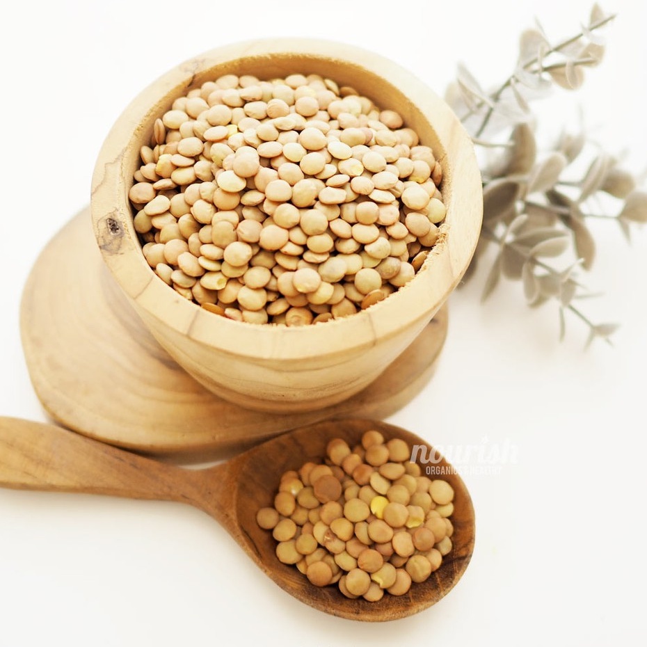 

Brown Lentils 100gr-Jkut