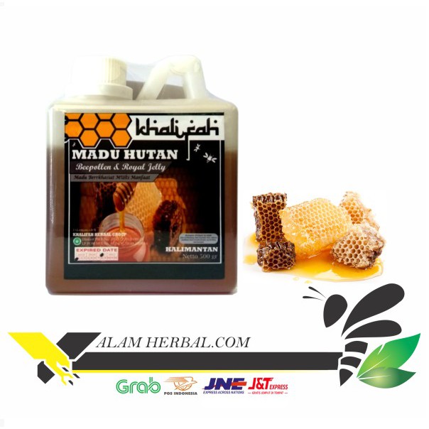 

Madu Asli Kalimantan Murni Original Rasa Enak Madu Hutan Khalifah 500 Gram