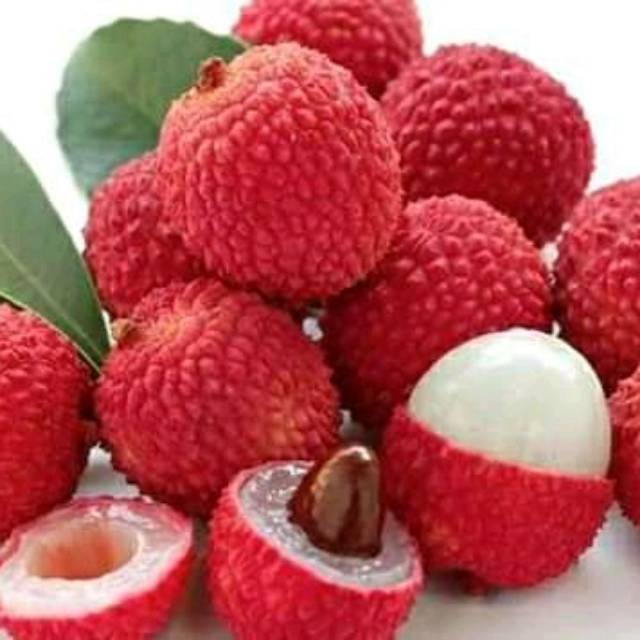 Bibit buah leci com/leci merah cangkok unggul