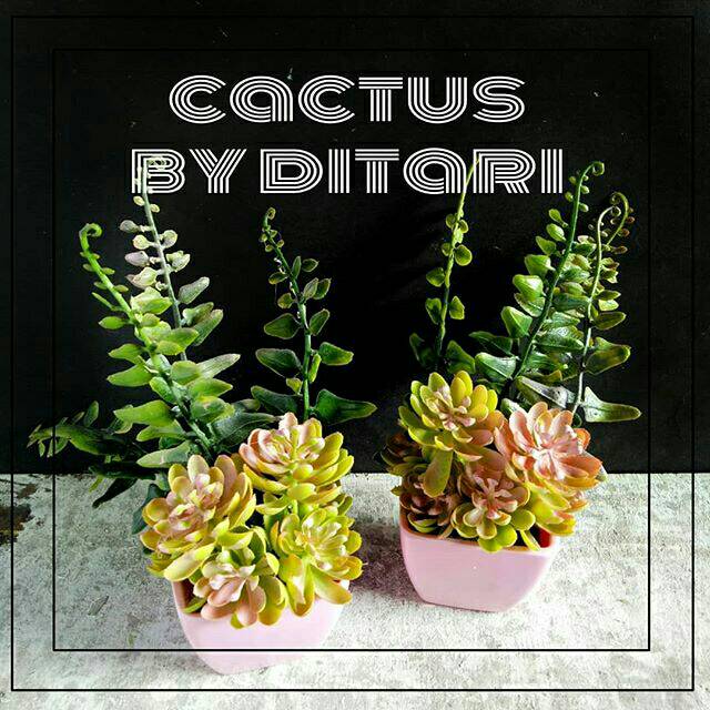 Kaktus mini succulent bunga plastik artificial palsu dekorasi rumah cafe