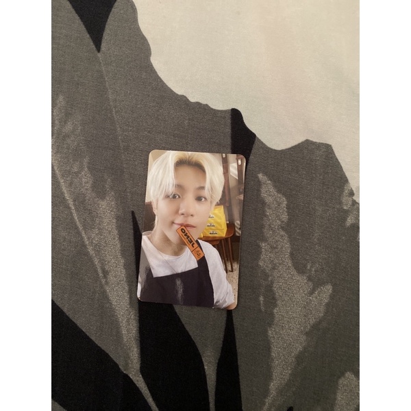PHOTOCARD NCT DREAM JENO CAFE