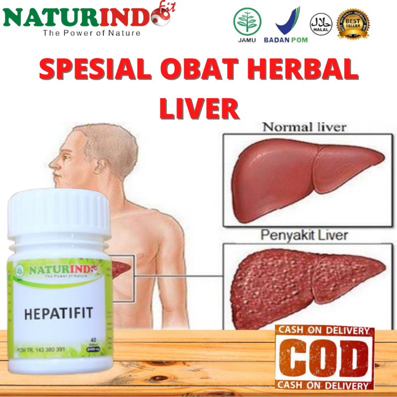 Jual Obat Liver Hepatitis Radang Hati Hepatitis B Sirosis Hepatis Abses ...