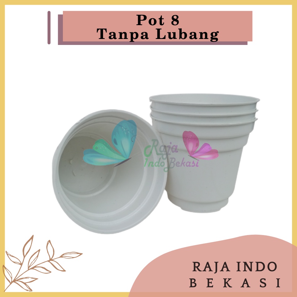 Pot Gol 8 Cm Putih Kecil Kaktus | Ice Cream Pot Tanpa Lubang 8 Cm Pot Hidroponik Pot Es Krim 8cm