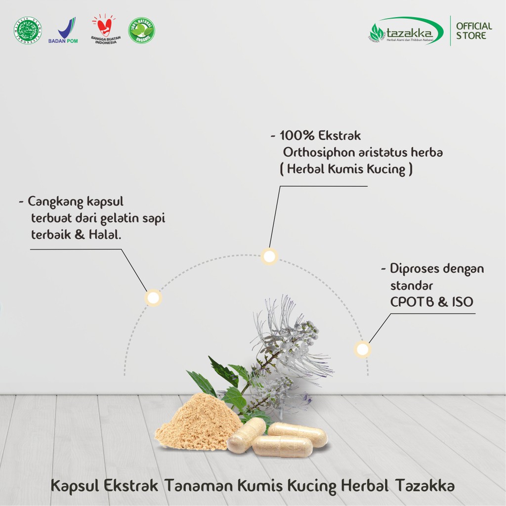 Obat Saluran Kemih | Kapsul EKSTRAK KUMIS KUCING Tazakka | Kapsul isi 60 HALAL BPOM ORIGINAL