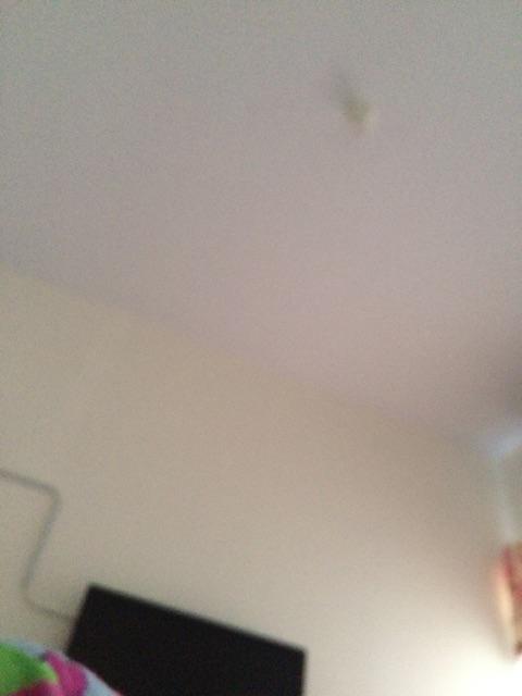 Botol Pp 60 Ml Plus Tutup Flip Top