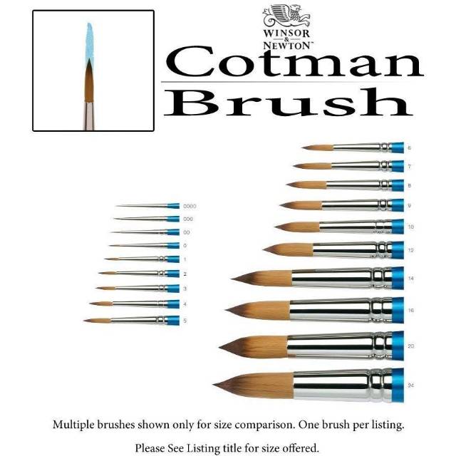 

WINSOR & NEWTON COTMAN BRUSH SERIES 111