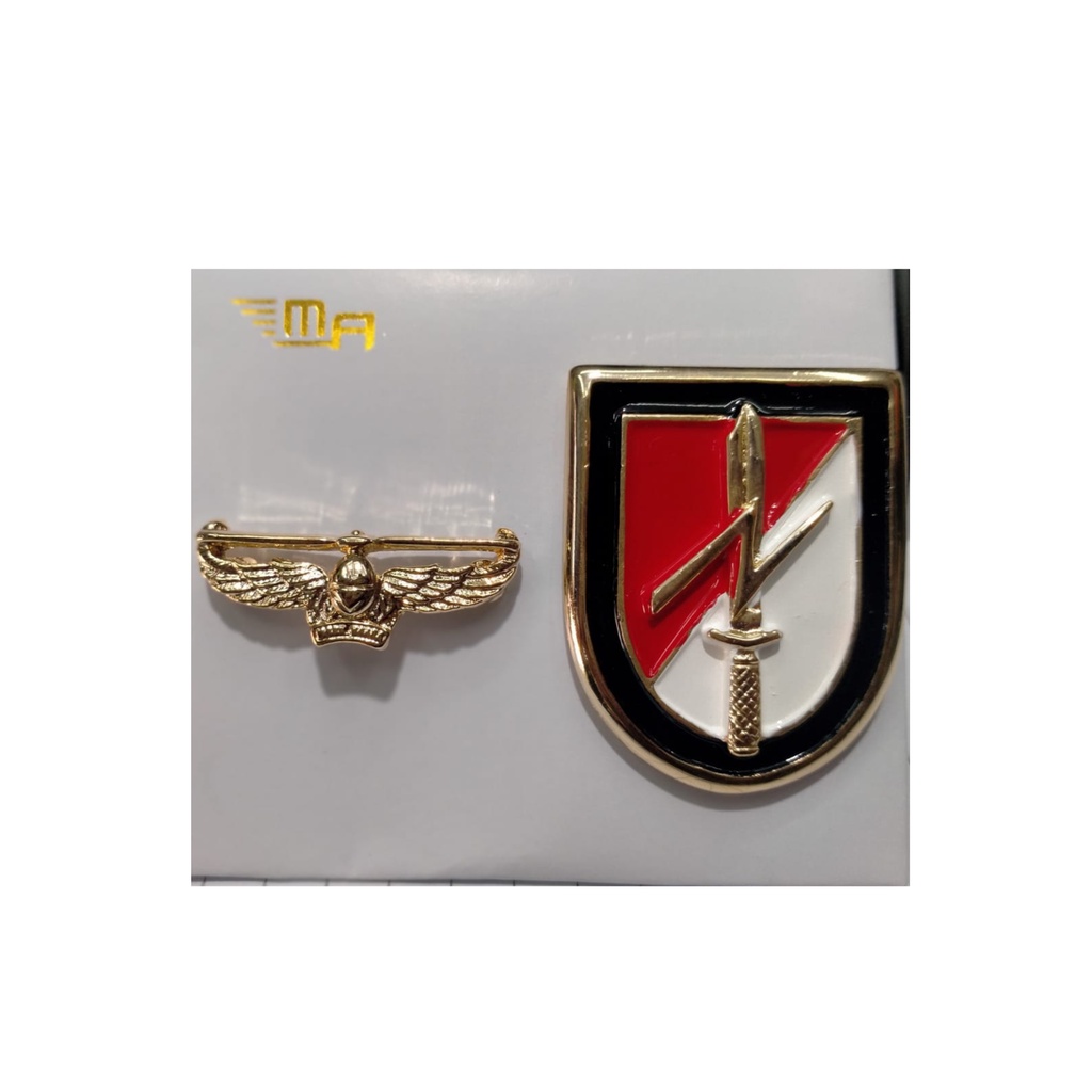 Emblem Raider TNI Emblem Baret TNI