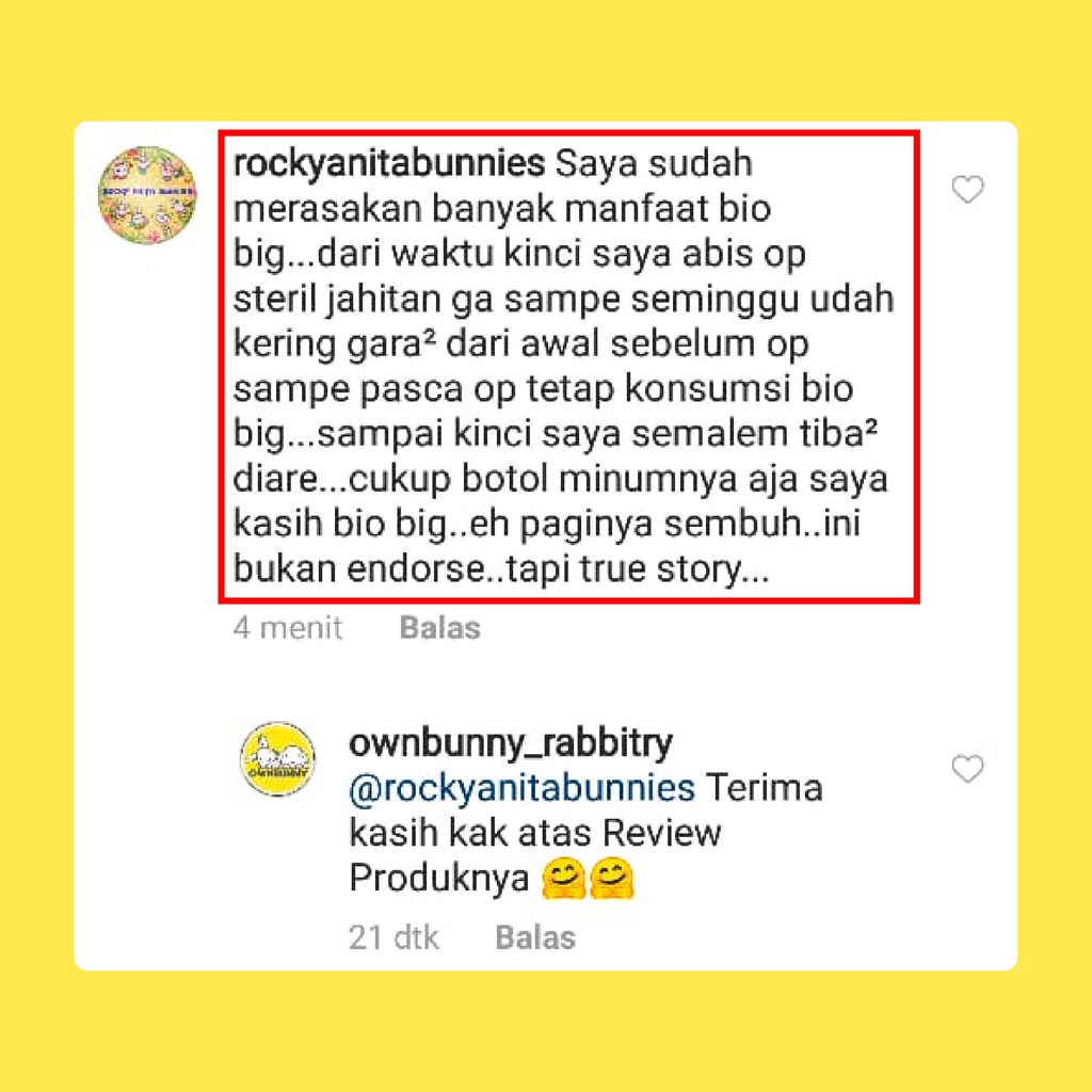 BIOBIG VITAMIN / JAMU HERBAL UNTUK KELINCI TERPERCAYA 500 ML