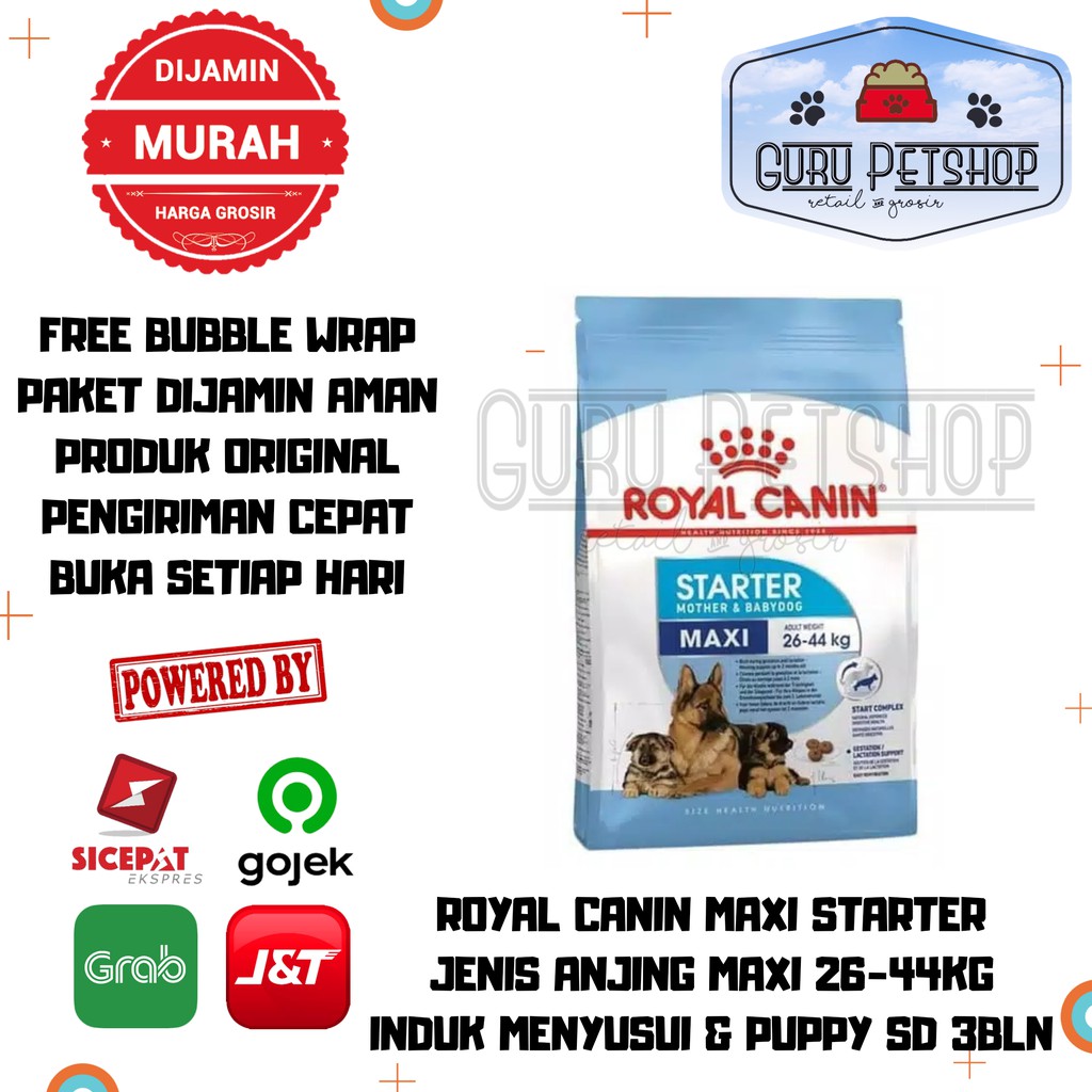 Royal Canin Maxi Starter 4kg Makanan Anjing Maxi Berat 26-44kg Dog Food Anakan &amp; Induk Menyusui