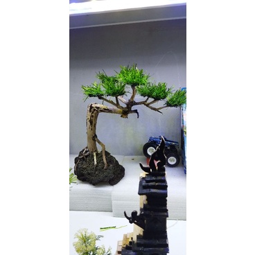 POHON BONSAI AQUASCAPE RUMPUT SINTETIS
