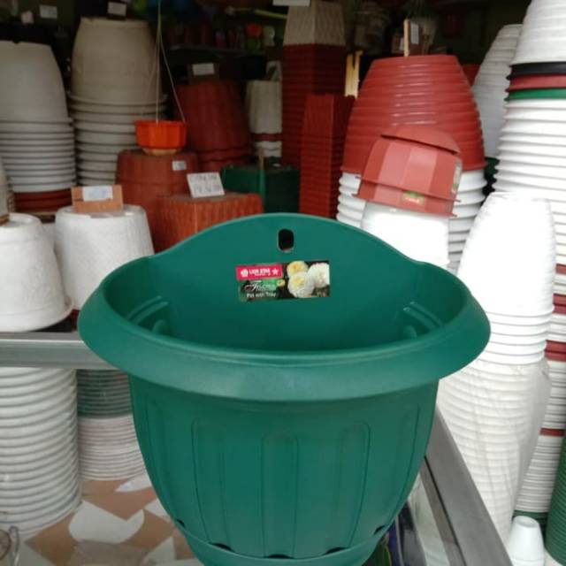 Pot dinding lion Star + tatakan pot