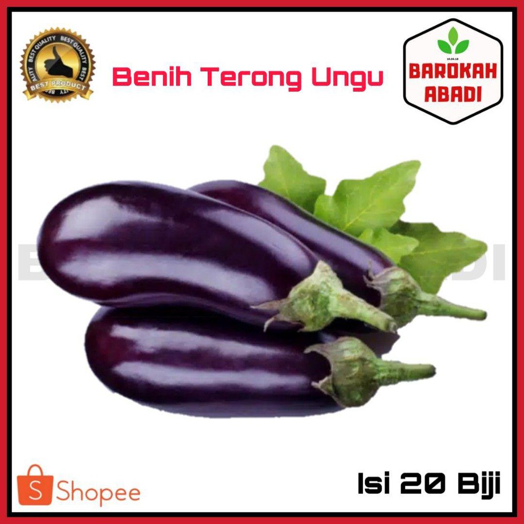 25 Benih Terong Ungu Panjang F1 Tangguh - Bibit Sayur Sayuran Seribuan - TERONG UNGU