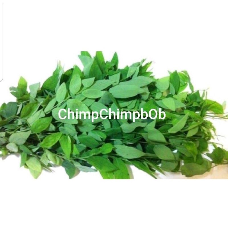 

DAUN KATUK SEGAR 200 / DAUN KAYU MANIS SEGAR