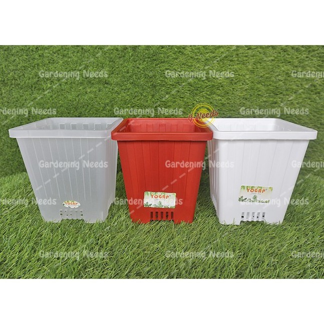 Pot Kaktus Tinggi Kotak Pot Bunga Yogap Kotak 8 YPK 8