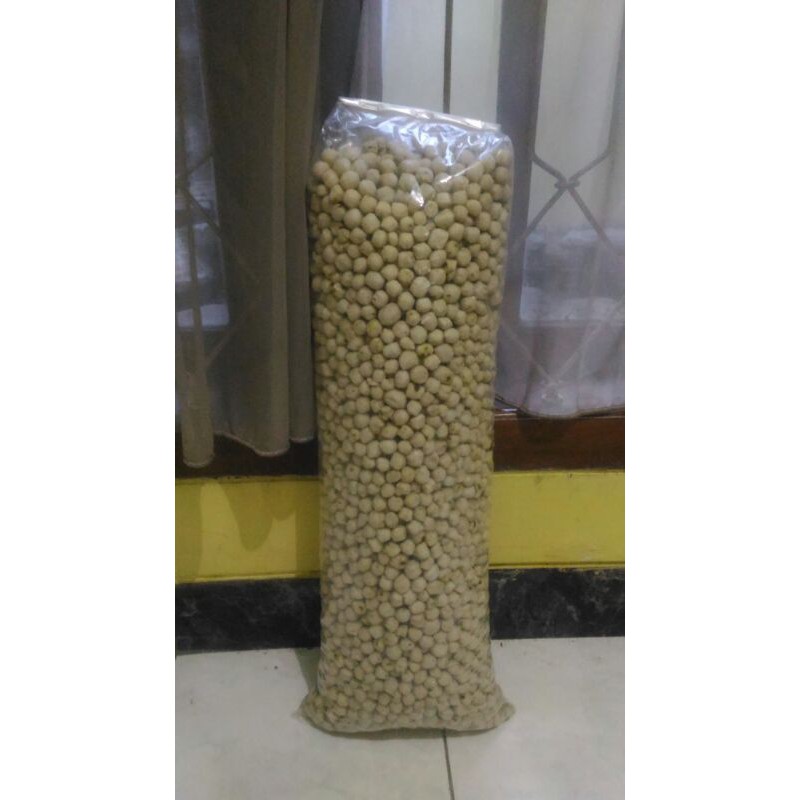 

Pilus Khas Tegal