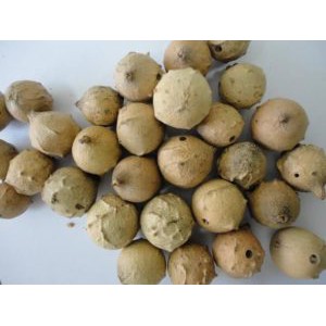 

Buah Manjakani Kering 500 Gram