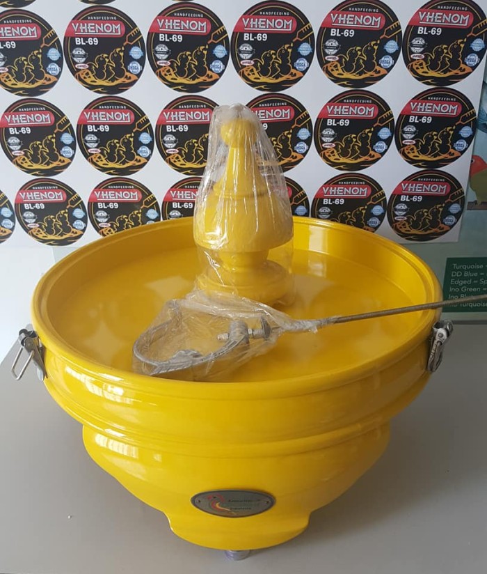 ASLI TEBOK LOVEBIRD KLI KUNING POLOS
