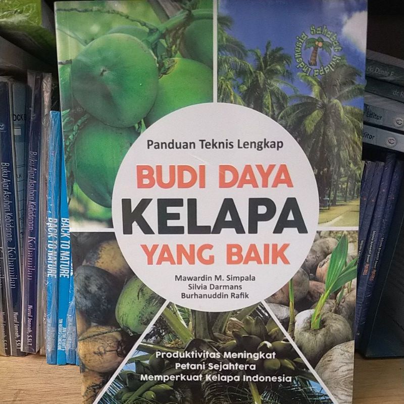 

Panduan Teknis Lengkap Budi Daya Kelapa Yang Baik