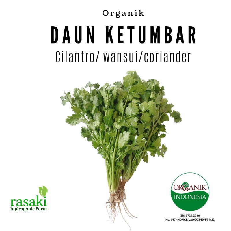 

sayur segar daun ketumbar wansui coriander cilantro 100gr