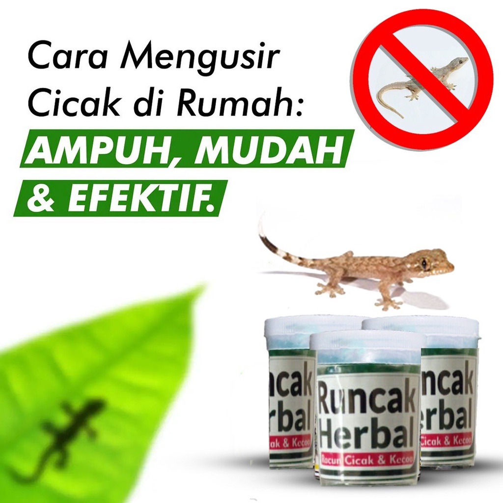 [ BISA COD ] racun cicak & kecoa (racun herbal) ASLI