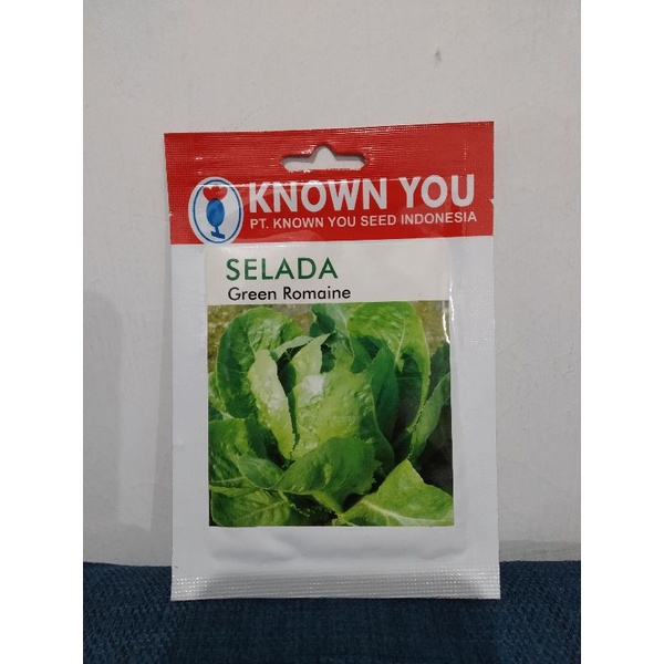 benih bibit selada green romaine
