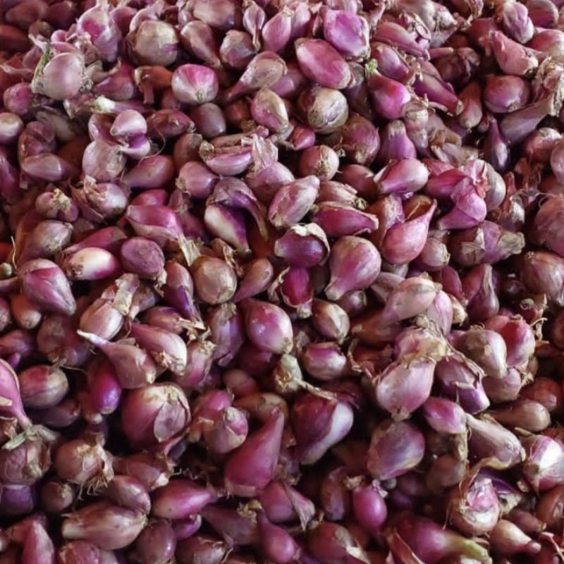 

Bawang Merah Brebes 500 Gram