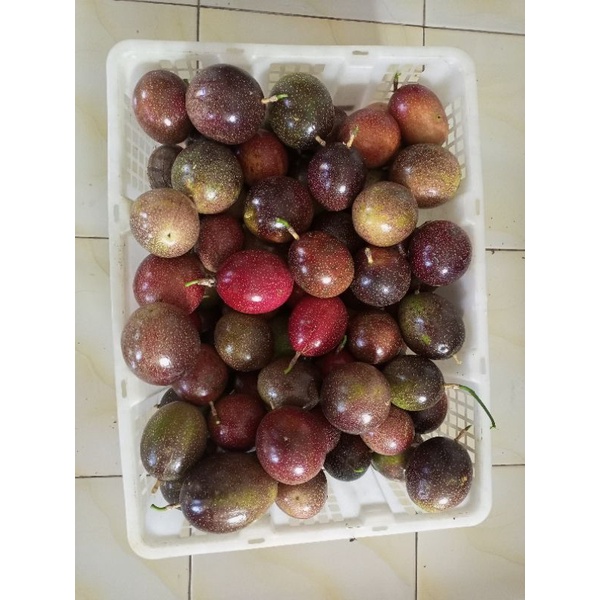 

Markisa Fress dan Segar Random Ungu Kuning 500gram