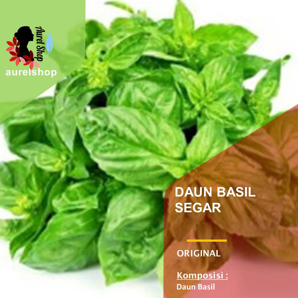 

Daun Basil Segar kemasan 1 kg