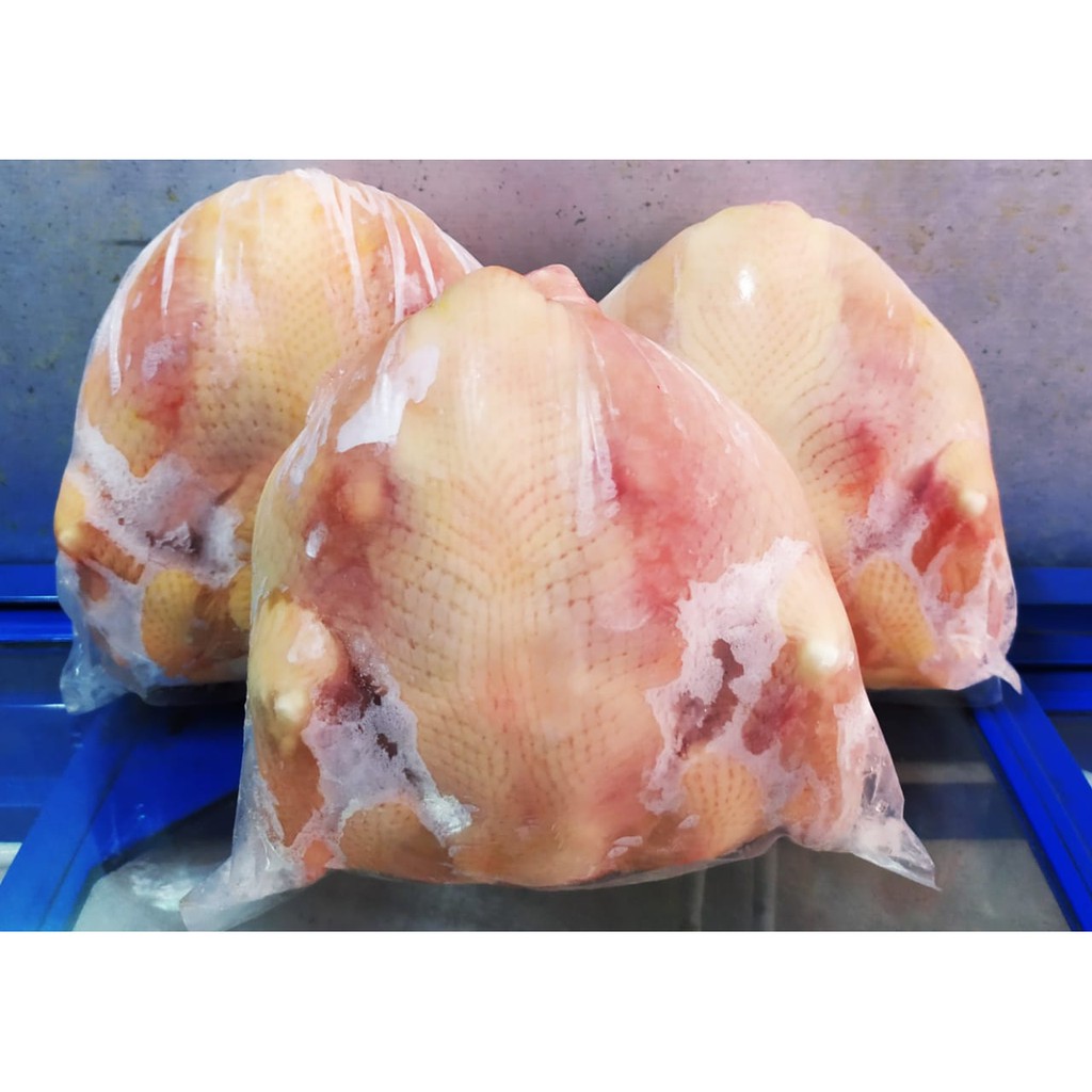 

Ayam Frozen uk. 1 - 1,1 kg