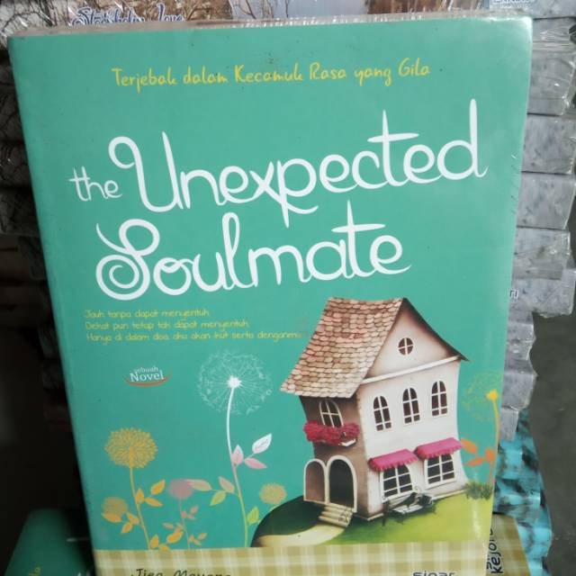 The unexpected soulmate terjebak dalam kecamuk rasa yang gila M at