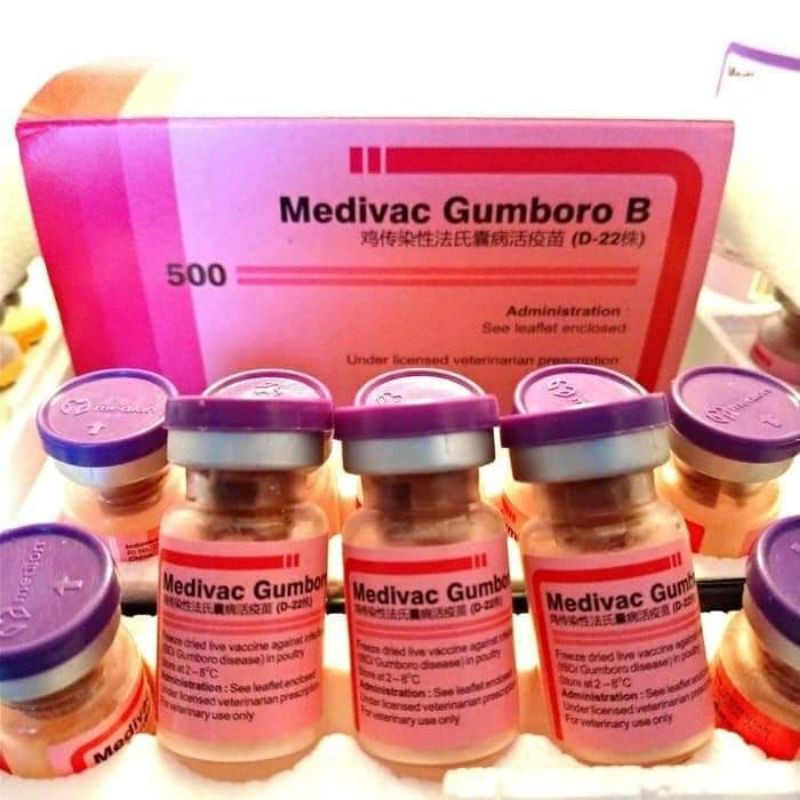 VAKSIN MEDIVAC GUMBORO A & B + PELARUT - Vaksin IBD Ayam Burung Unggas