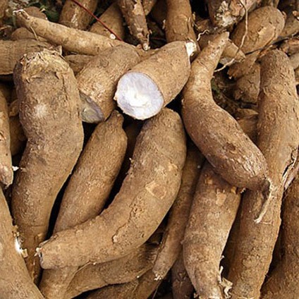 

PASAR SEGAR - SINGKONG 1KG