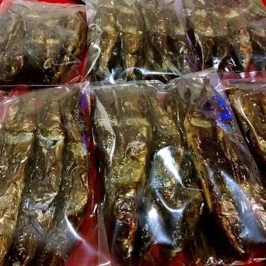 

f0fjhubfe00 Ikan Roa 1 Jepit 20 Ekor Ikan DsGk