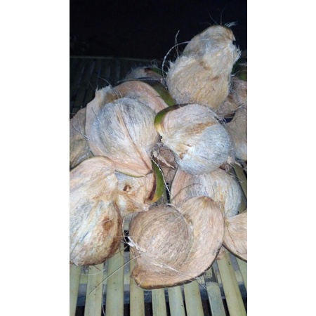 

Kelapa Tua Fresh - Kelapa Kupas kulit kering, kelapa kering untuk santan kelapa muda kering kelapa tua kering ukuran besar klapa tua klapa kering