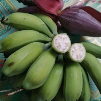 

pisang klutuk batu 1 sisir