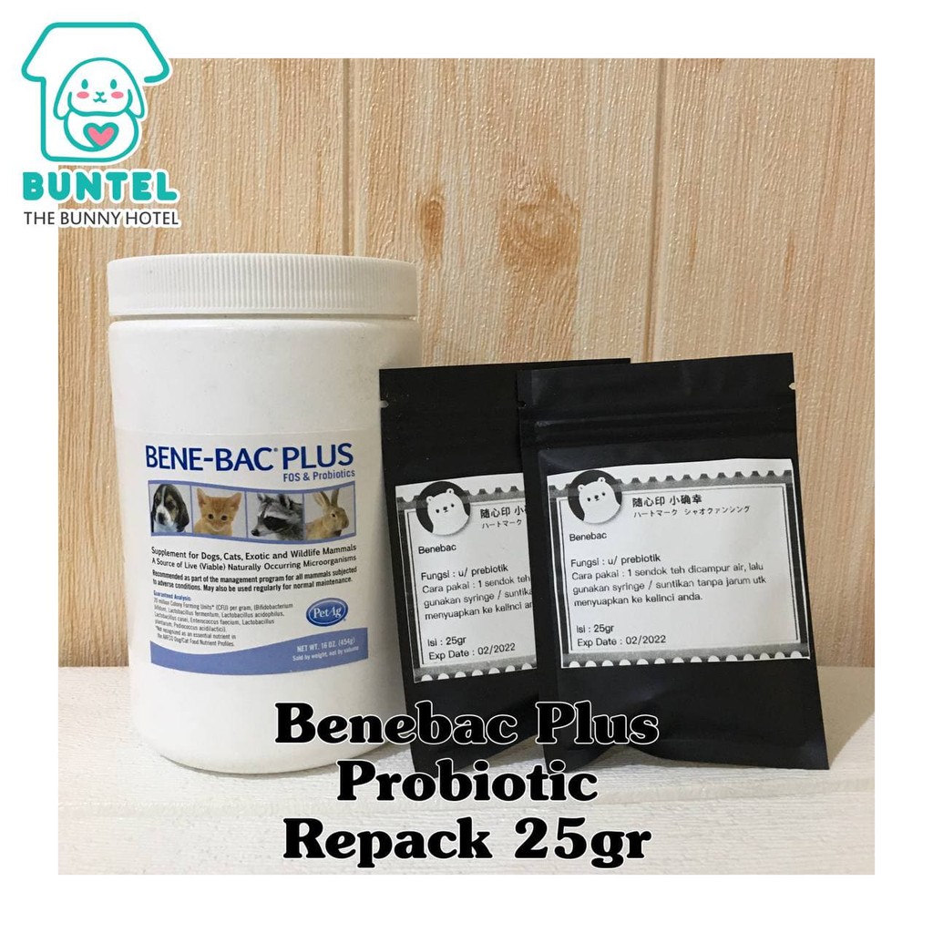 Jual Bene bac plus Prebiotic Powder utk Kelinci Small Animal | Shopee ...