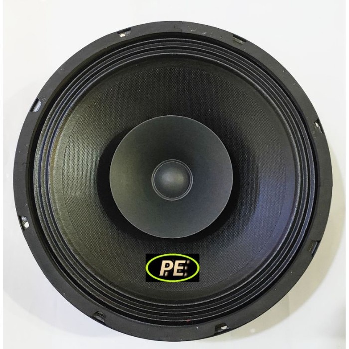 Speaker Proton C-1018Hw 10 INCH FULLRANGE 300 WATT